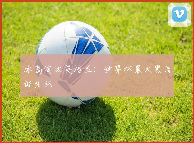 冰岛淘汰英格兰：世界杯最大黑马诞生记